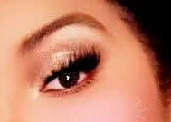 Oasis Collection - Desert Sands Palette